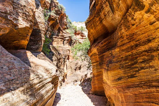 策略复盘与出牌节奏示意